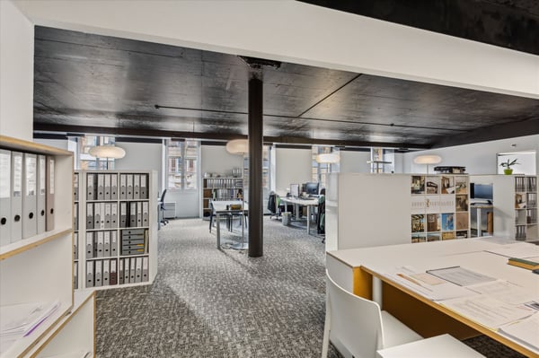 Au coeur de la zone piétonne 4