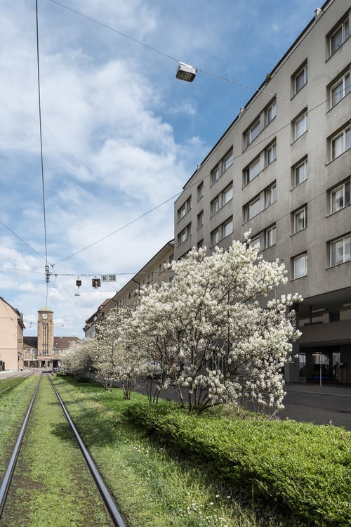 Helle 1-Zimmer-Wohnung in zentraler Lage in Basel 1