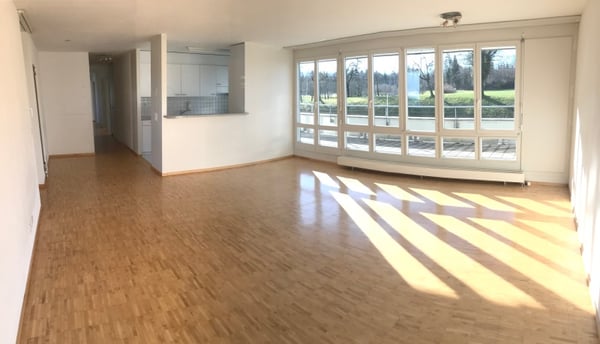 Über den Dächern von Hinwil 2