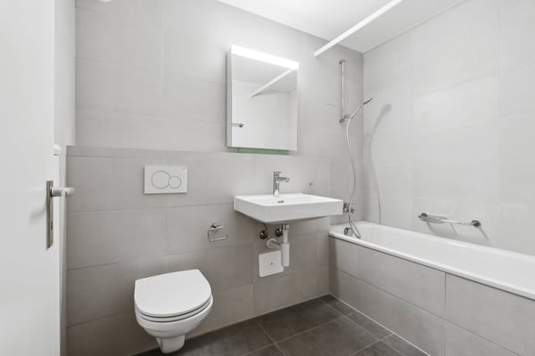 Magnifique appartement 1.5 pièces 4