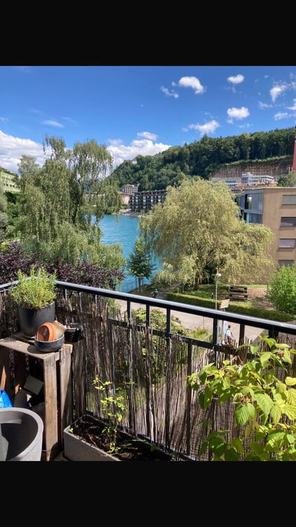 Gemütlich Wohnen an der Reussinsel! 6