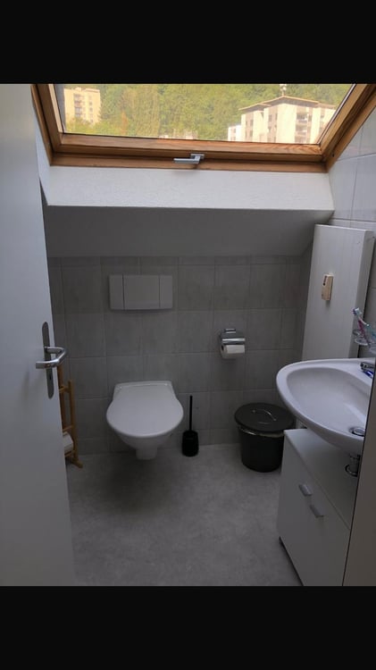 Gemütlich Wohnen an der Reussinsel! 3