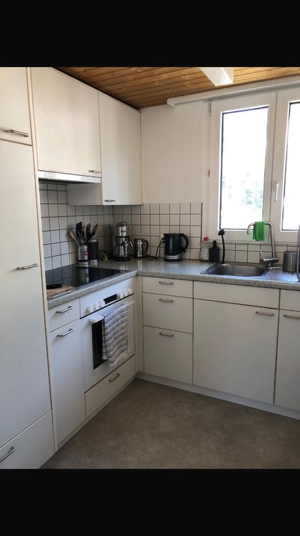 Gemütlich Wohnen an der Reussinsel! 2