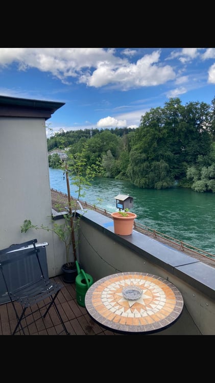 Gemütlich Wohnen an der Reussinsel! 4