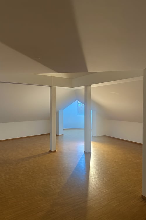 Absolutes City-Feeling über den Dächern von St. Gallen! 2