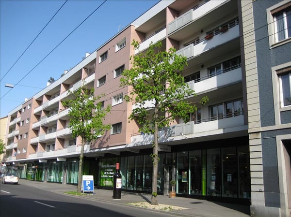 Am Puls des Lebens! 1