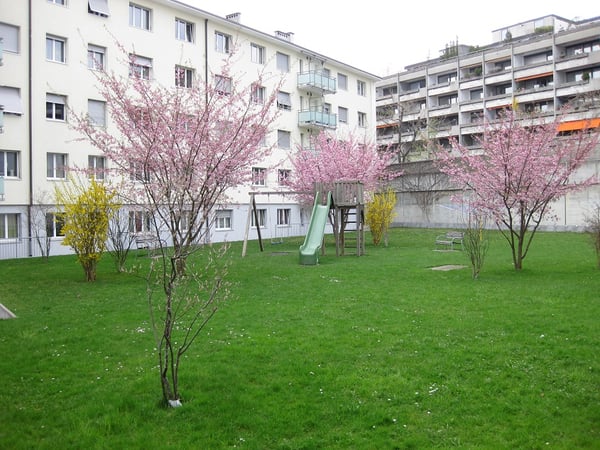 Mitten in der Länggasse 2