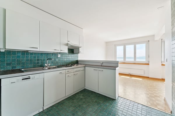 Magnifique vue sur le lac et les alpes avec CAUTION GRATUITE 7