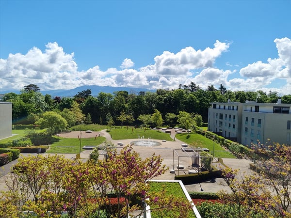 Vorschaubild der Immobilie