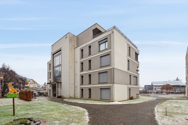 Leben Hoch1 in dieser schönen Attikawohnung 3