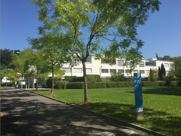 Wohnen im Sihlhof 2 - Singles aufgepasst! 1