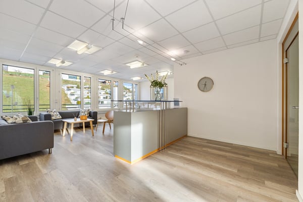 Verwirklichen Sie Ihren beruflichen Traum - Business Center Willisau! 2