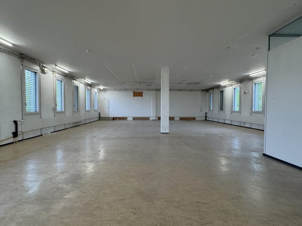 Raum für Ideen: Flexible Gewerbefläche in Arlesheim 3