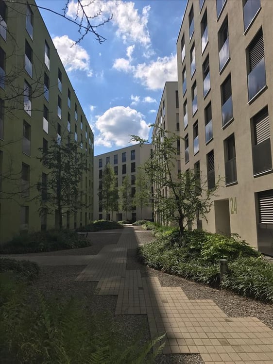 MIETEN OHNE KAUTION-Grosszügige und moderne 4.5 Zimmer-Wohnung im Neugut! 2