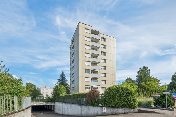 Schöne grosse Attikawohnung mit riesiger Terrasse 1