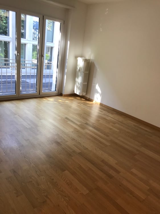 1-Zimmer-Wohnung in der Nähe vom Bahnhof SBB 2