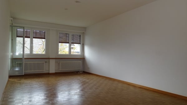 3 Zimmer-Wohnung an ruhiger Lage in Zürich Höngg 6