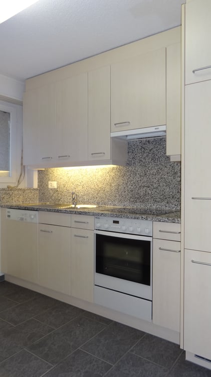 3 Zimmer-Wohnung an ruhiger Lage in Zürich Höngg 2