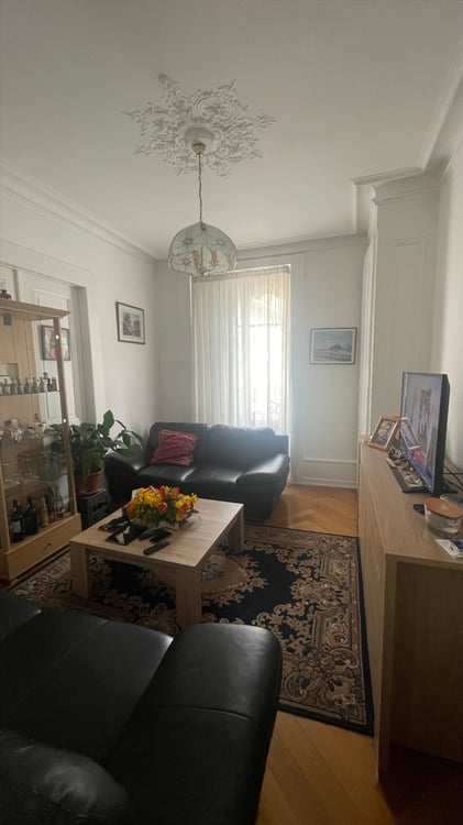 Bel appartement de 4 pièces proche de Plain Palais 3