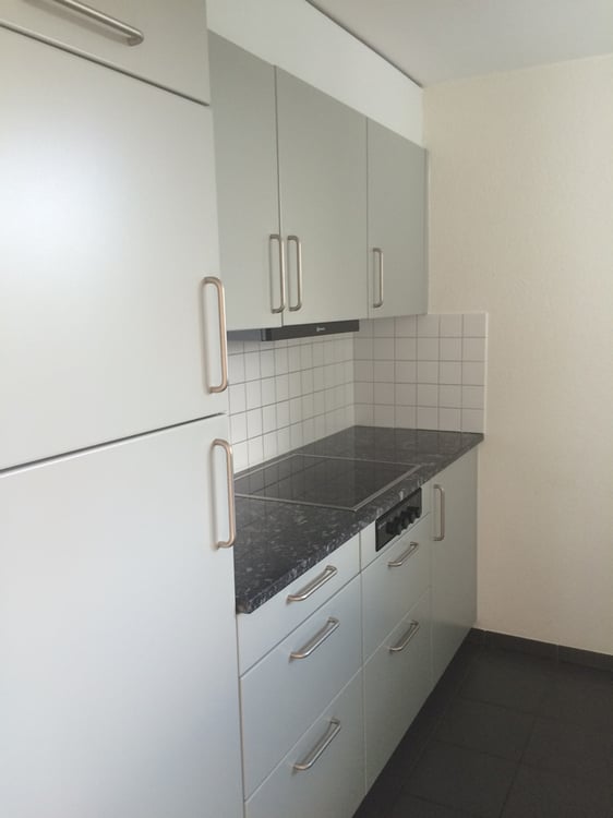 Top Wohnung im Steinhof-Quartier 5