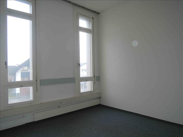 Attraktive Gewerbe- oder Bürofläche im schönen Rheintal 3