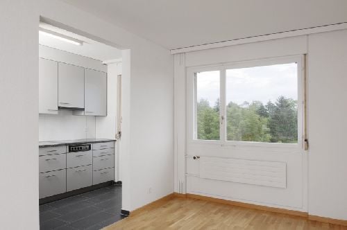Wohnung mit Cheminée 2