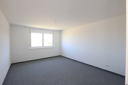 Traumwohnung sucht neue Bewohner 4