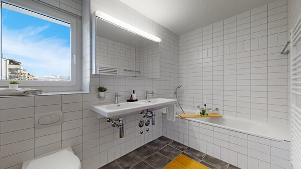 Modernes Wohnen in der Rosenstadt Jona-Rapperswil 3