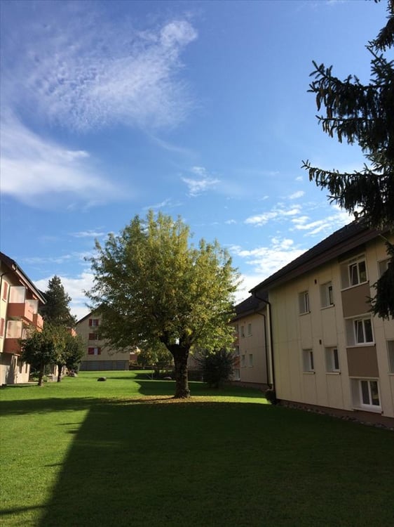 Charmante 4-Zimmer-Wohnung in ruhiger Umgebung 2