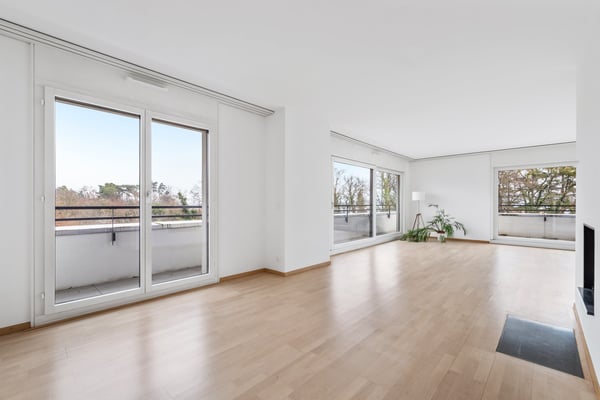 Charmant appartement face au lac 4