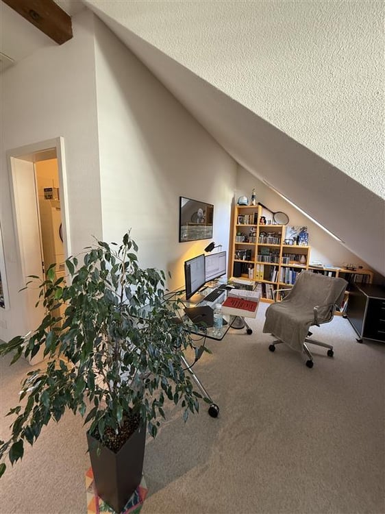 Attraktive Dachwohnung 2.5-Zimmer-Dachwohnung im Seefeld 6