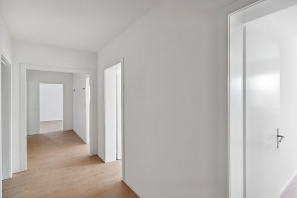 Appartement spacieux et lumineux 7