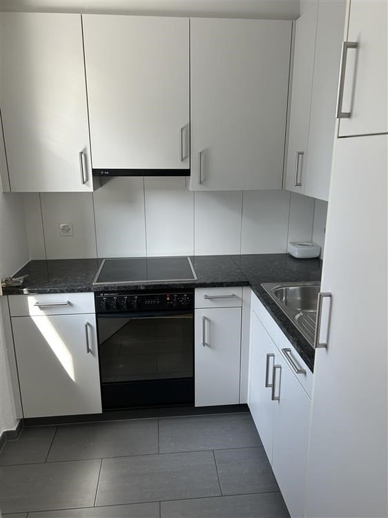Single-Wohnung am Stadtrand von Zug 3