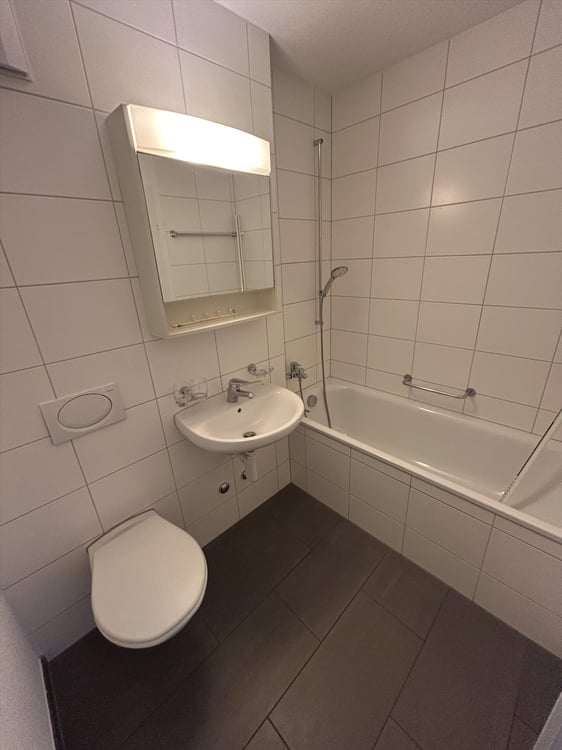 Single-Wohnung am Stadtrand von Zug 5