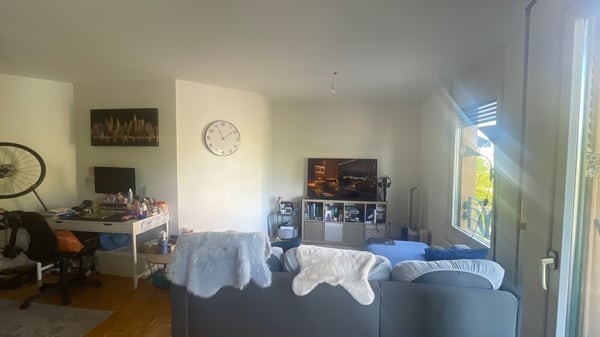 Appartement lumineux situé dans un quartier calme et résidentiel 5