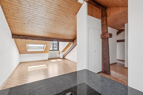 Appartement mansardé et rénové avec 3 chambres Rue de Tronchin 26 7