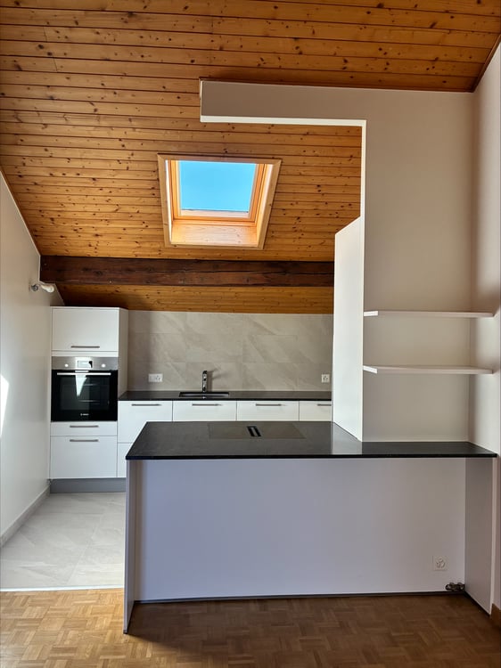Appartement mansardé et rénové avec 3 chambres Rue de Tronchin 26 3