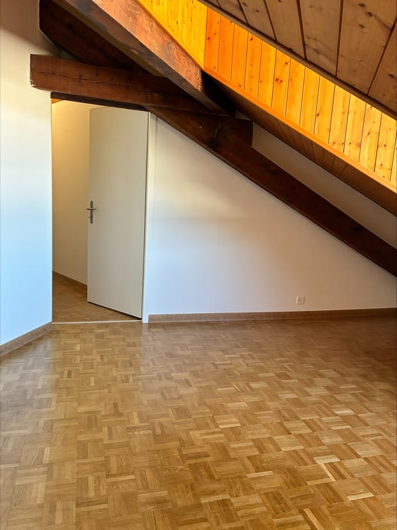 Appartement mansardé et rénové avec 3 chambres Rue de Tronchin 26 7