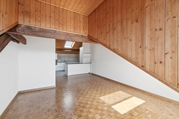 Appartement mansardé et rénové avec 3 chambres Rue de Tronchin 26 2