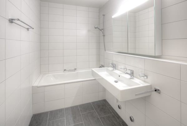 Magnifique logement récemment renové 3