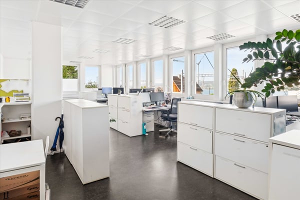Attraktive Bürofläche an zentraler Lage in Horgen mit Blick auf den Zürichsee 7