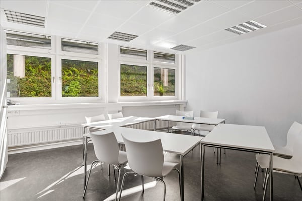 Attraktive Bürofläche an zentraler Lage in Horgen mit Blick auf den Zürichsee 8