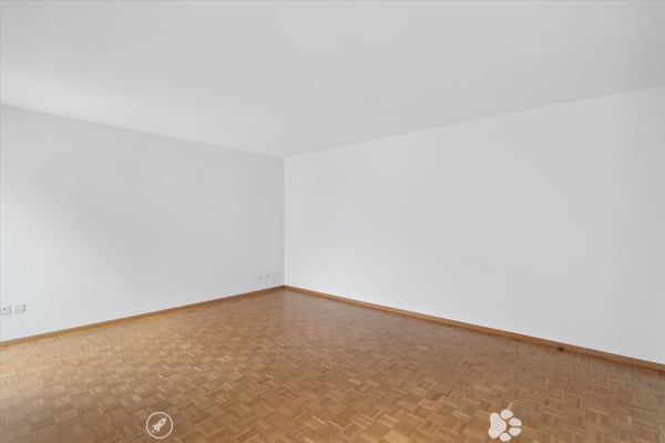 stilvoll sanierte Altstadt-Wohnung 2