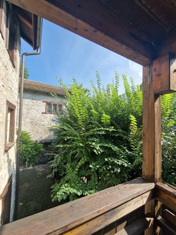Wohnen in den Stadtmauern von Schaffhausen 4