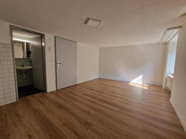 Wohnen in den Stadtmauern von Schaffhausen 2