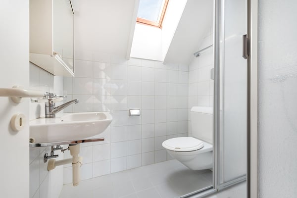 3.5 Zimmer-Wohnung beim Rheinfall mieten 7