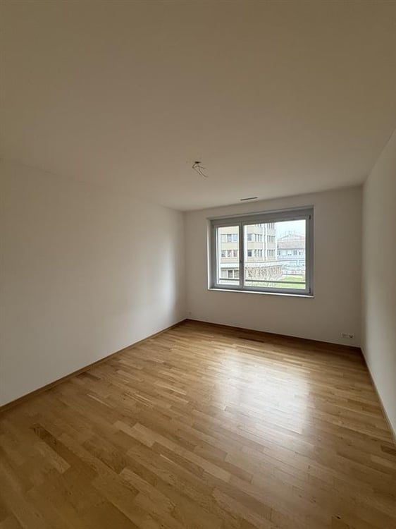 Modern wohnen, grün leben / 2.5-Zimmer-Wohnung am Letzigraben 5