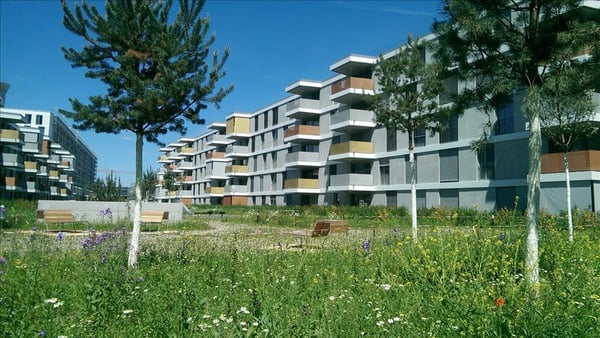 Schöne Neubauwohnung mit Sitzplatz zu vermieten 1