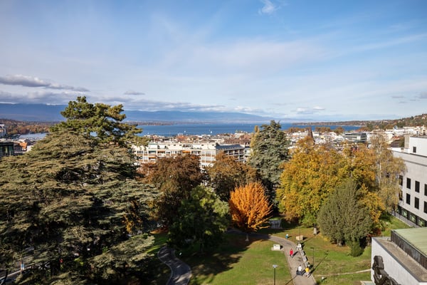 Attique avec vue sur le lac 1
