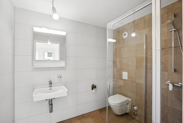 Joli logement dans quartier récent 4
